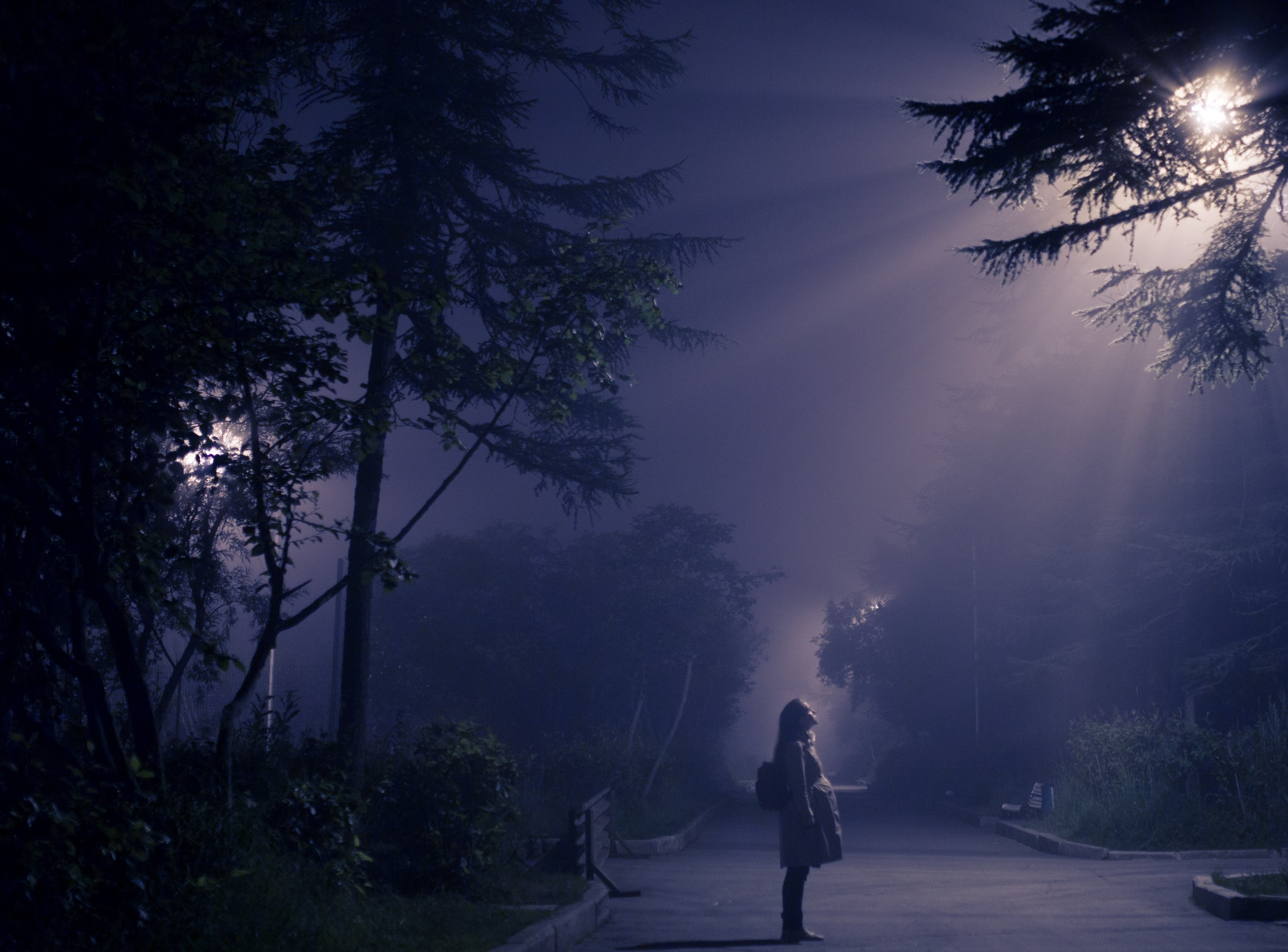 artem-kovalev-jGN7JUKZcU0-unsplash